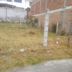 IMG_20230209_1428274261