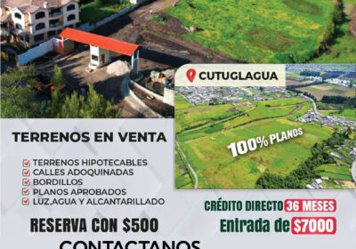 flyer-virtual-01